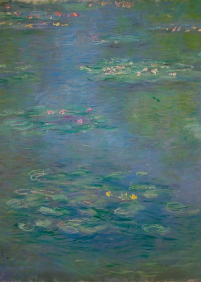Nenúfares, detalhe, 1903 (ver também 160198) de Claude Monet